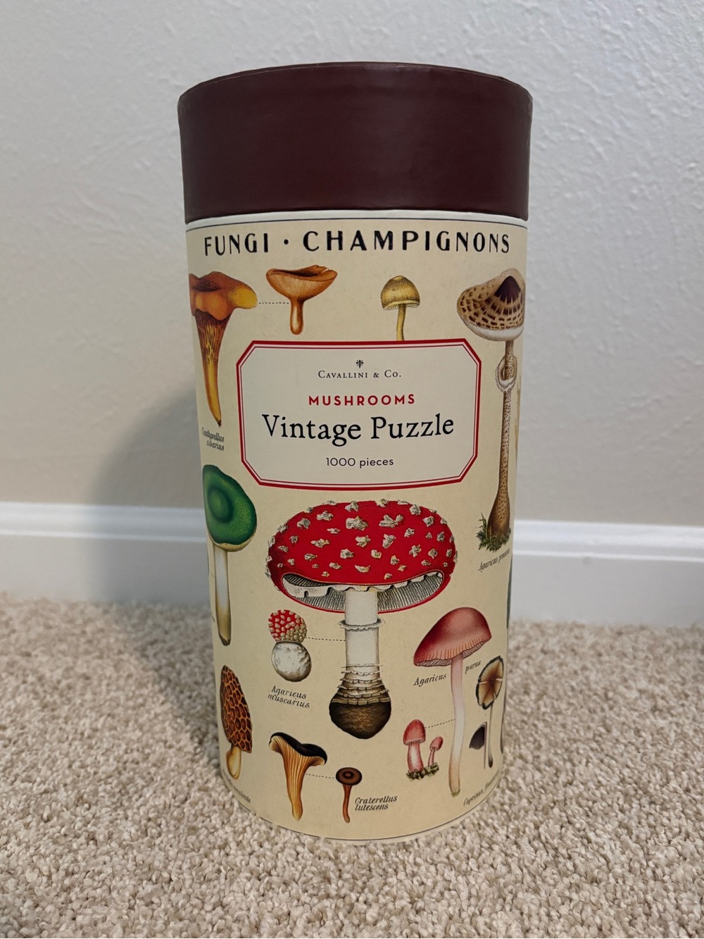 Cavallini & Co. Vintage Mushrooms Puzzle